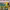 https://res.cloudinary.com/billionhands/image/upload/v1780688226/items/vbkwvnequhy4frifomov.jpg-1cover