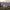 https://res.cloudinary.com/billionhands/image/upload/v1780688230/items/wvps5unuxe5wby1ltcxo.jpg-2cover
