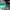 https://res.cloudinary.com/billionhands/image/upload/v1780689461/items/dlyhm2mrzrp6dtybb9ti.jpg-3cover