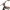 https://res.cloudinary.com/billionhands/image/upload/v1780691405/items/iavd3jbjns6jod72uabn.webp-3cover