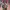 https://res.cloudinary.com/billionhands/image/upload/v1780691717/items/ughpdec6dnmfbo9wsxft.webp-3cover