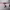 https://res.cloudinary.com/billionhands/image/upload/v1780692278/items/shnj8zauatm8ydoezoyj.webp-3cover