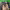 Fernanfloo y Sofi cover