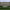 https://res.cloudinary.com/billionhands/image/upload/v1780692813/items/yojjuxatlkamciyc7vuh.jpg-3cover