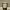 https://res.cloudinary.com/billionhands/image/upload/v1780692989/items/fazwvki2c2ynli5msabz.webp-0cover