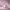 https://res.cloudinary.com/billionhands/image/upload/v1780692998/items/tslmjodvujba2nv2zuvi.webp-3cover