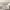https://res.cloudinary.com/billionhands/image/upload/v1780695643/items/n3hvrftvl29izg3o6td5.avif-1cover