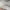 https://res.cloudinary.com/billionhands/image/upload/v1780696731/items/fyj04n1ncem9wkcqpwqg.webp-0cover