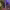 https://res.cloudinary.com/billionhands/image/upload/v1780696748/items/sdcg3tzi3gnlw7vaydq6.avif-2cover