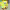https://res.cloudinary.com/billionhands/image/upload/v1780697220/items/vhkp5kqvauemizhf7liw.webp-3cover