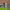 https://res.cloudinary.com/billionhands/image/upload/v1780697252/items/b62pqhhabv8zjkuhlyfp.webp-0cover