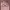 https://res.cloudinary.com/billionhands/image/upload/v1780698655/items/a5cv9baxpq7xip7x8xmb.webp-2cover