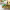 https://res.cloudinary.com/billionhands/image/upload/v1780699548/items/btr5tohu6cfydfggfnzy.jpg-2cover