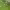Kevin De Bruyne (Manchester City) - Direct Free-Kick Goal vs Borussia Dortmund (2022) cover