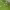 https://res.cloudinary.com/billionhands/image/upload/v1780700080/items/chxpq7a5ogvhzy0xpkvg.jpg-0cover