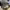https://res.cloudinary.com/billionhands/image/upload/v1780700360/items/askqforau8ikkr0q1hf7.jpg-0cover