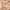 https://res.cloudinary.com/billionhands/image/upload/v1780700784/items/fq05os36zjlwmr9z0sns.jpg-2cover