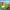 https://res.cloudinary.com/billionhands/image/upload/v1780702221/items/oau4ywgxvd3ujvfbjpt1.jpg-0cover