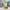 https://res.cloudinary.com/billionhands/image/upload/v1780702483/items/y9iglghwfec1trogvrwx.jpg-3cover