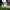 https://res.cloudinary.com/billionhands/image/upload/v1780702532/items/rjxczjfaavi0hljlngjf.jpg-1cover