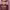 https://res.cloudinary.com/billionhands/image/upload/v1780702625/items/nowdpu4fnuhlgt2l5oyu.png-0cover