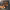 https://res.cloudinary.com/billionhands/image/upload/v1780703060/items/dnxioprwgoxqwnhxsqdr.webp-2cover