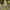 https://res.cloudinary.com/billionhands/image/upload/v1780703068/items/g8xsoahkgqdvg8lvirqo.jpg-2cover