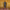 https://res.cloudinary.com/billionhands/image/upload/v1780703412/items/iezuhc84vcg5dkq7xzbf.jpg-1cover
