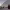 https://res.cloudinary.com/billionhands/image/upload/v1780703441/items/vihsstxxnazgerbjdabt.jpg-1cover