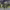 https://res.cloudinary.com/billionhands/image/upload/v1780703455/items/ivjvlmz6ylvcqonottpi.jpg-3cover