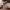 https://res.cloudinary.com/billionhands/image/upload/v1780703489/items/kx6x2intlpgxafjtdptu.webp-1cover