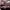 https://res.cloudinary.com/billionhands/image/upload/v1780703551/items/x3g5wmrdazpohfk2bbty.jpg-1cover