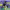 https://res.cloudinary.com/billionhands/image/upload/v1780703582/items/gopstpl0cknyknf2d45d.webp-1cover