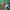 https://res.cloudinary.com/billionhands/image/upload/v1780703584/items/x9jvhqy2vrcwoqoai1in.jpg-3cover