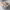 https://res.cloudinary.com/billionhands/image/upload/v1780704119/items/owevrywm7rjxc4mvgrdj.webp-3cover