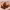 https://res.cloudinary.com/billionhands/image/upload/v1780704119/items/z1vsi2of7yfoeprbgxt8.webp-0cover