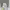 https://res.cloudinary.com/billionhands/image/upload/v1780705689/items/oe39qu28xjiaejcvcbb8.webp-2cover