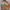 https://res.cloudinary.com/billionhands/image/upload/v1780705996/items/fmefrmoljlvlcbhvevzf.jpg-1cover