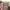 https://res.cloudinary.com/billionhands/image/upload/v1780706110/items/ujubg14s1mpowfcagd7z.webp-2cover