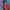 https://res.cloudinary.com/billionhands/image/upload/v1780706201/items/k4asephea4lfcbru2dw9.jpg-0cover