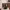 https://res.cloudinary.com/billionhands/image/upload/v1780707292/items/mofgwwi4k3gqj4krdkeg.webp-3cover