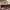 https://res.cloudinary.com/billionhands/image/upload/v1780707557/items/txnbjg0py7ytipdyvmf5.jpg-2cover
