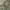https://res.cloudinary.com/billionhands/image/upload/v1780707583/items/dksgvomu5nikbwfdilwq.webp-3cover