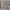 https://res.cloudinary.com/billionhands/image/upload/v1780708356/items/vq7mk0lcemhligvpywfd.jpg-1cover