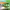 https://res.cloudinary.com/billionhands/image/upload/v1780708708/items/yctqde76mapfxnmelyu4.webp-3cover