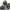 https://res.cloudinary.com/billionhands/image/upload/v1780711507/items/wsvqy6rsqygh67ie32ta.jpg-3cover