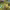 https://res.cloudinary.com/billionhands/image/upload/v1780711794/items/kswqenrfow9vzcrgsfc0.jpg-2cover