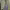 https://res.cloudinary.com/billionhands/image/upload/v1780712596/items/cbthhphe3ejl9g5orva4.jpg-1cover
