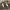 https://res.cloudinary.com/billionhands/image/upload/v1780713341/items/n0nrgehf1taqxsklacwh.webp-3cover