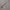 https://res.cloudinary.com/billionhands/image/upload/v1780713414/items/nrlt923fmmnlhhhzbxmh.jpg-0cover